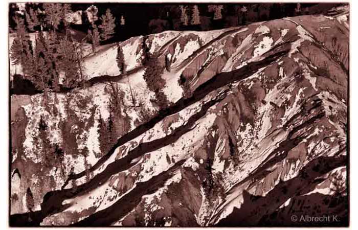 albrecht-2