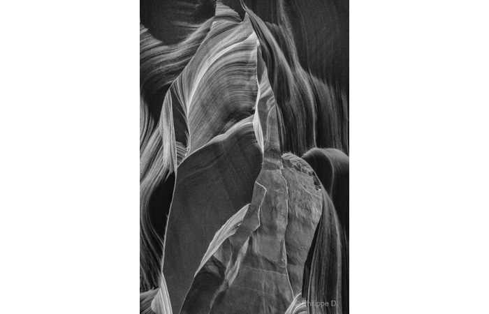 philippeD-2