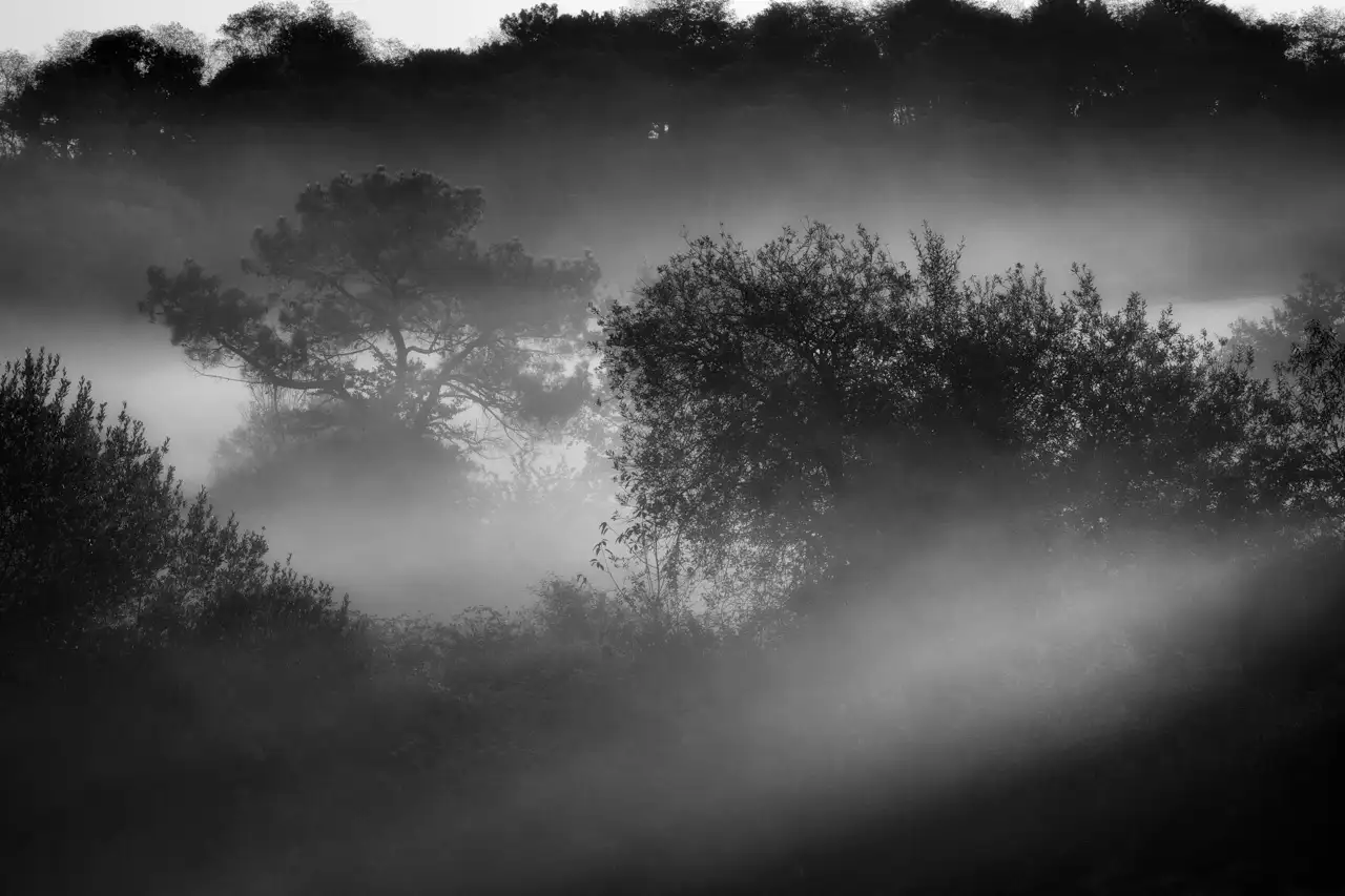 Landscape of Haute-Saintonge in Charente-Maritime in France in black and white.