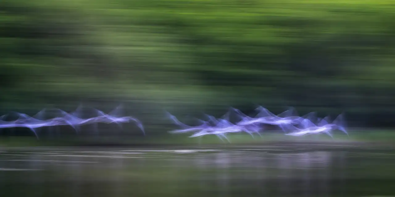 Dreams in Motion →