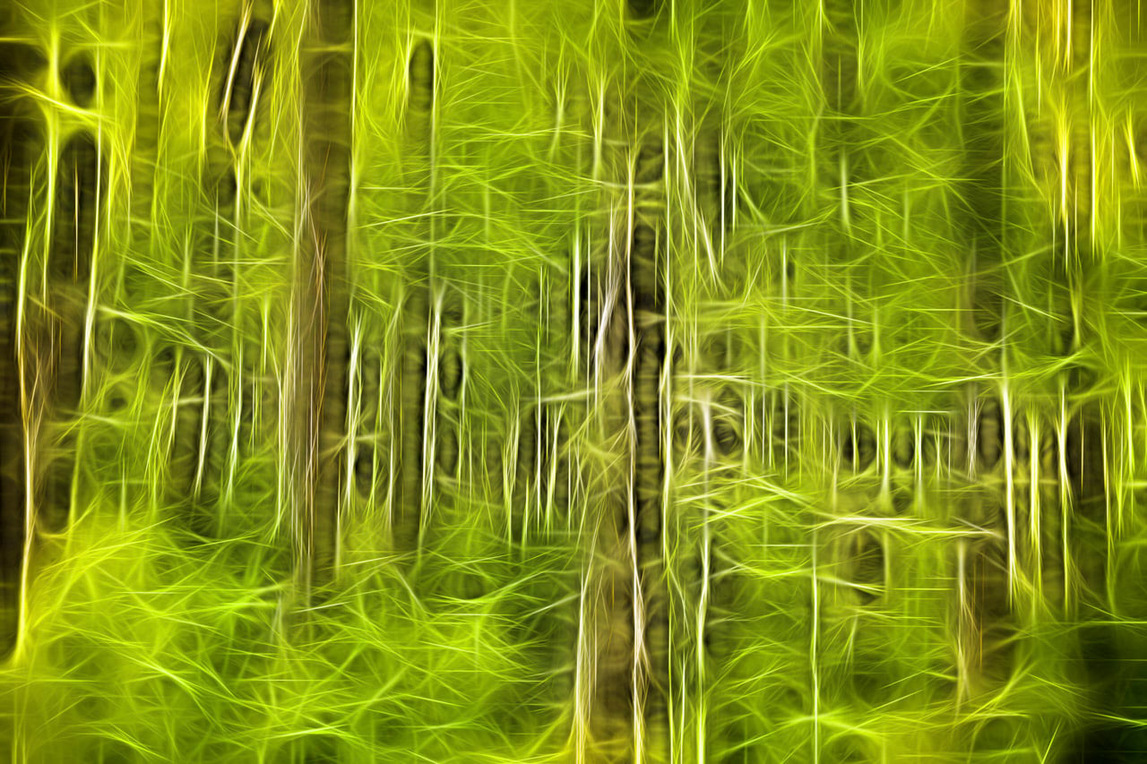Undergrowth in Fusion Style
