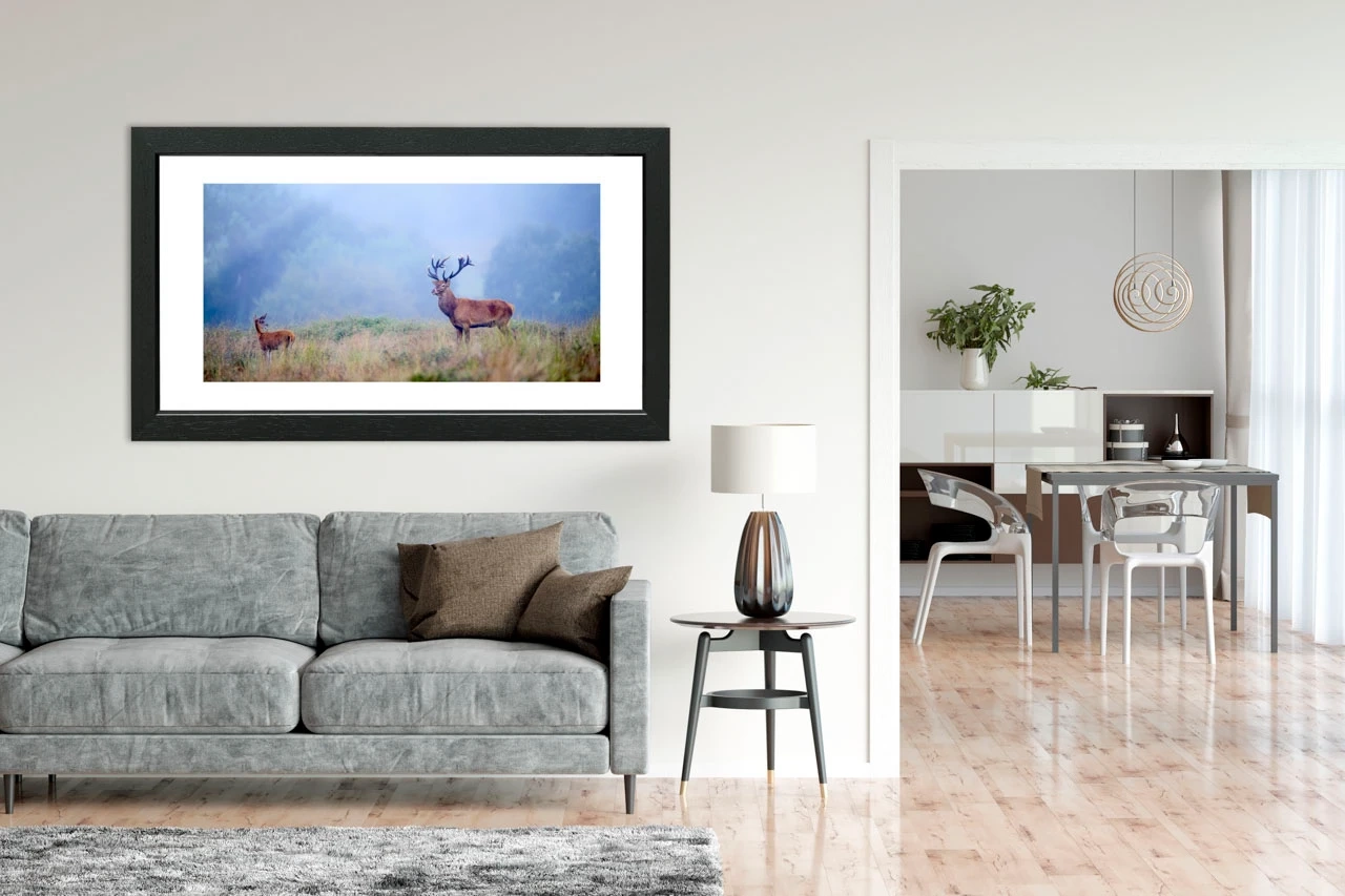 editions-limitees-sans-collection/1988/fr/edition-limitee-03-1988-21C