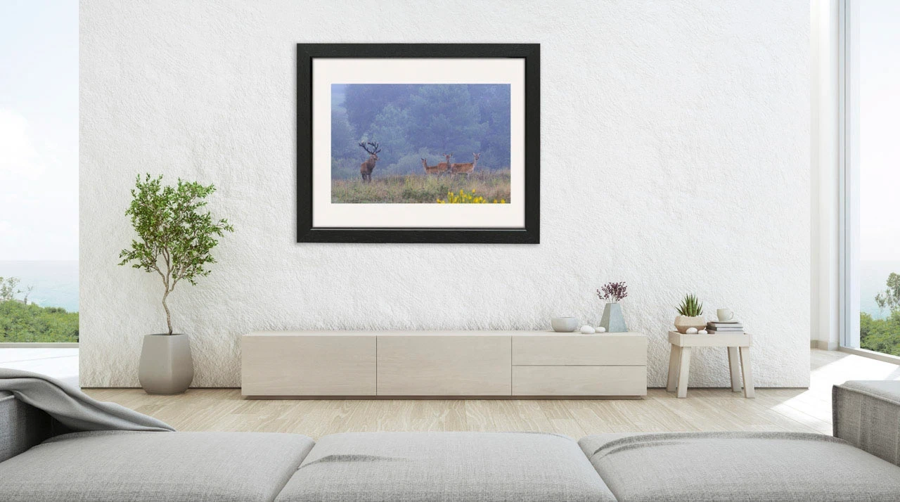 editions-limitees-sans-collection/1989/fr/edition-limitee-02-1989-32C