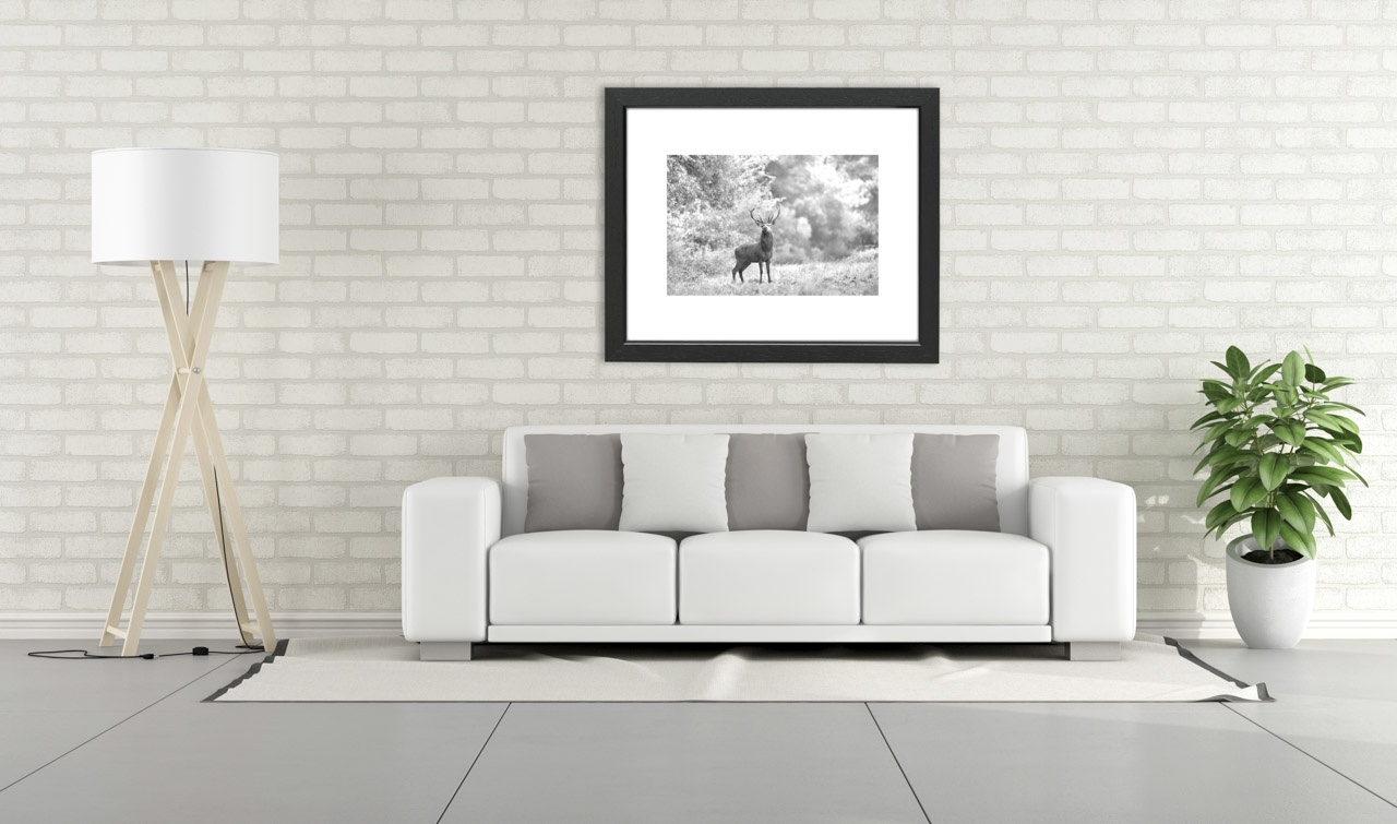editions-limitees-sans-collection/2002/en/limited-edition-02-2002-32B