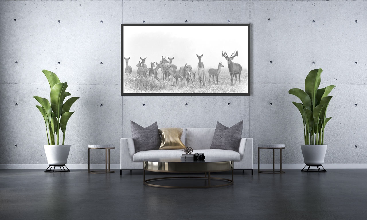 editions-limitees-sans-collection/2003/en/limited-edition-03-2003-21B