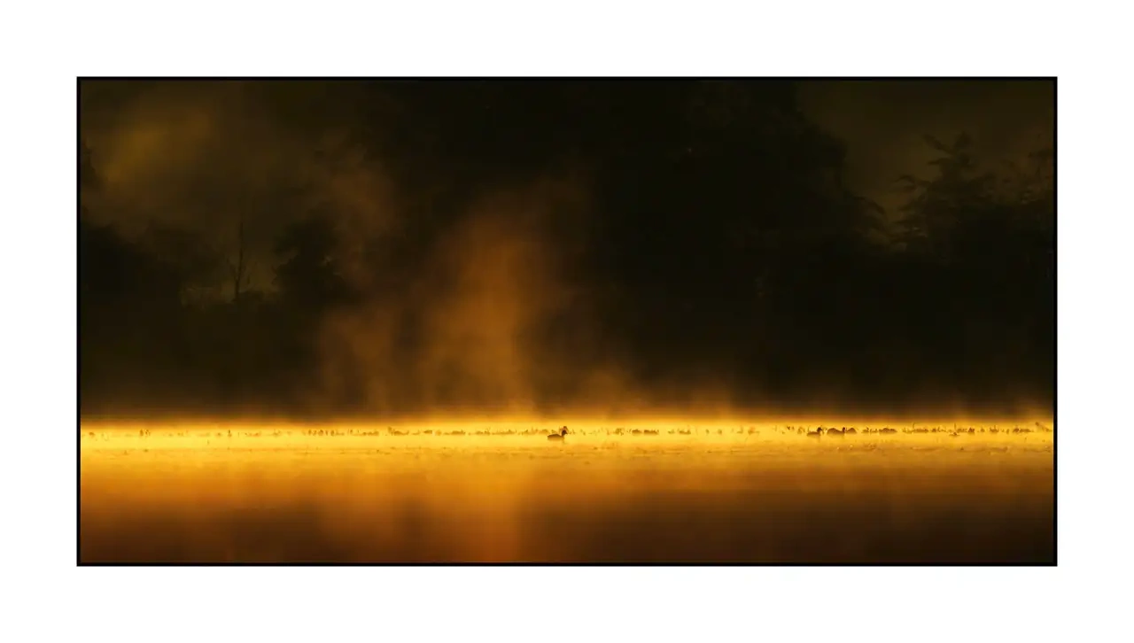 editions-limitees-sans-collection/2218/fr/01-ambiance-etang-dombes-2218-21C