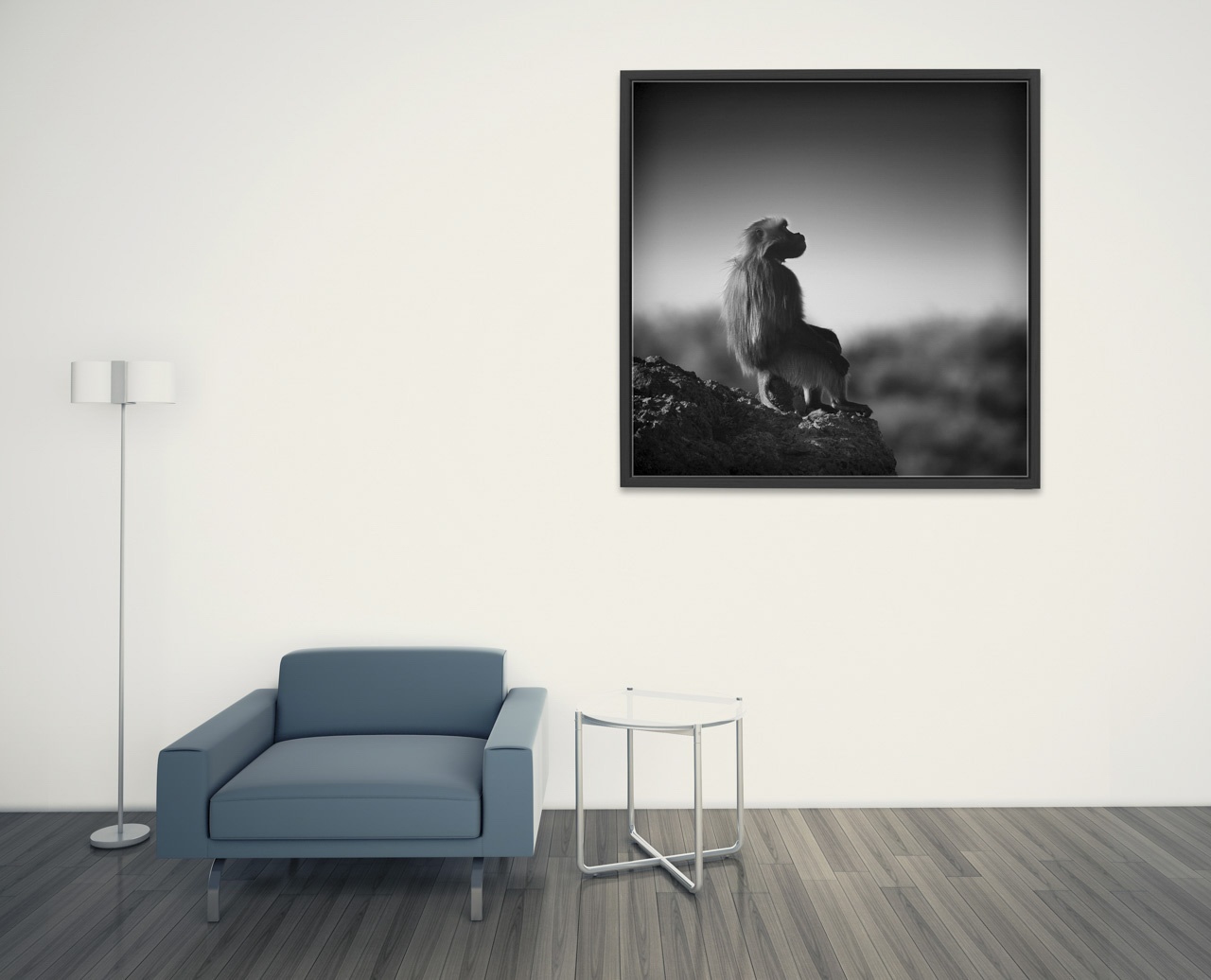 editions-uniques/photo015/fr/edition-unique-02-274-11B