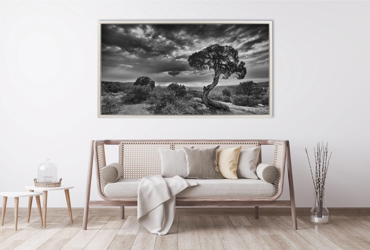 editions-uniques/photo019/fr/edition-unique-03-1018-169B
