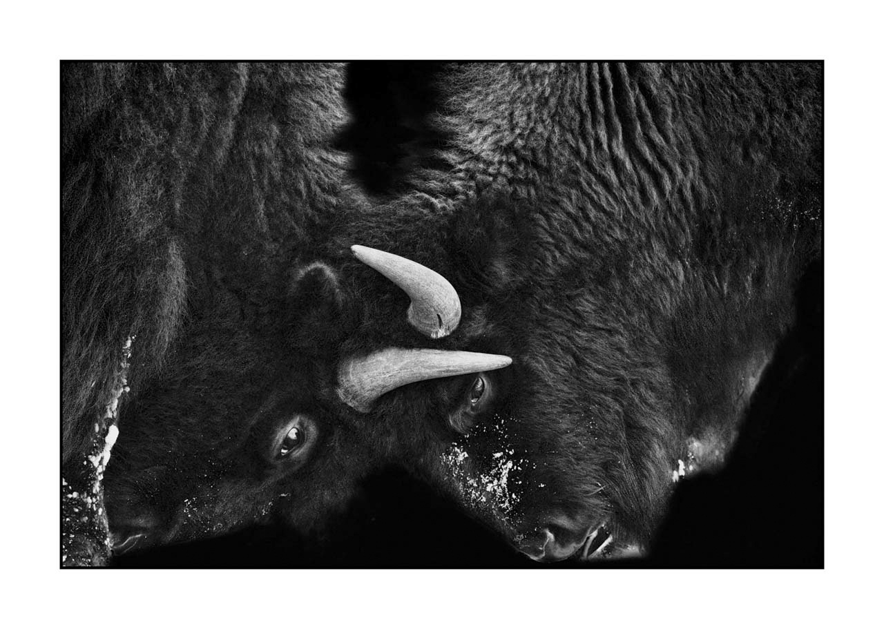 editions-uniques/photo032/en/unique-edition-01-1322-32B