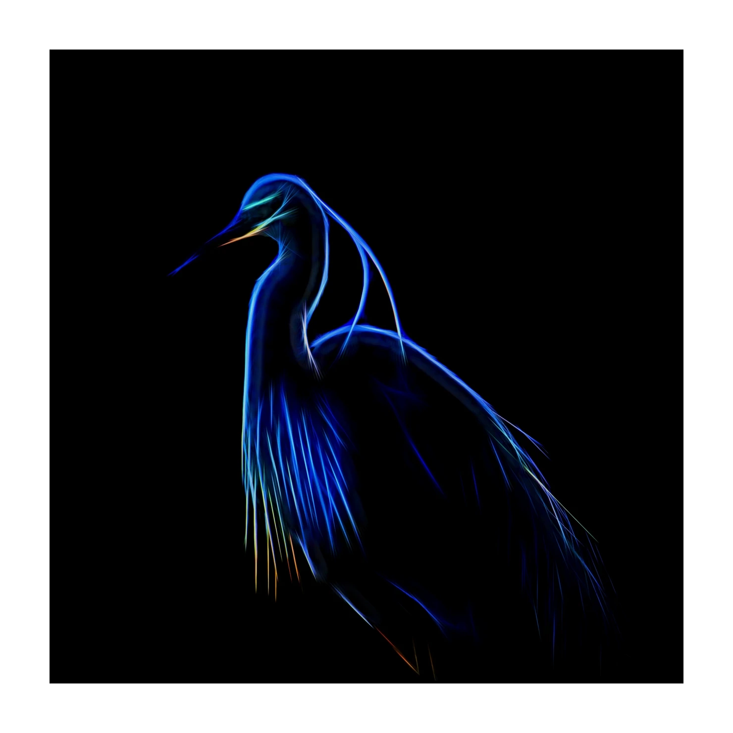 fusion/001-oiseaux-de-la-dombes/edition-limitee/en/03-birds-of-la-dombes-220517DOMWLD0007F
