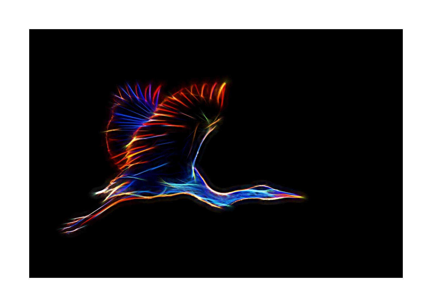 fusion/001-oiseaux-de-la-dombes/edition-limitee/en/06-birds-of-la-dombes-220517DOMWLD1242F