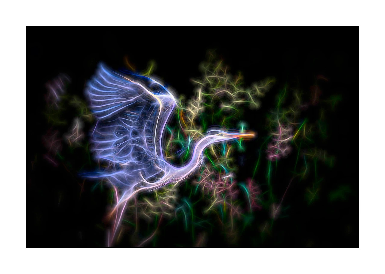 fusion/001-oiseaux-de-la-dombes/edition-limitee/fr/08-oiseau-dombes-style-fusion-2460-32F