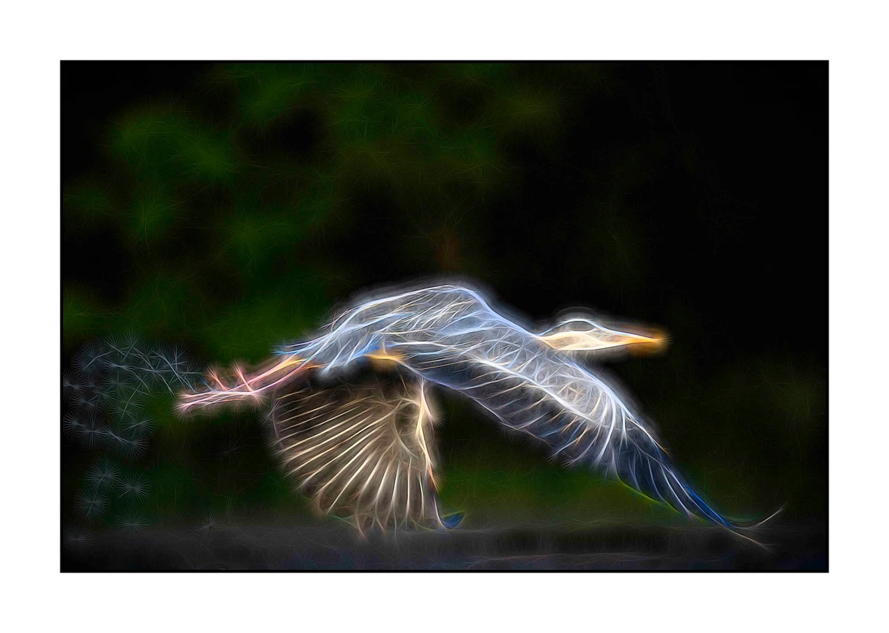 fusion/001-oiseaux-de-la-dombes/edition-limitee/fr/11-oiseau-dombes-style-fusion-2463-32F