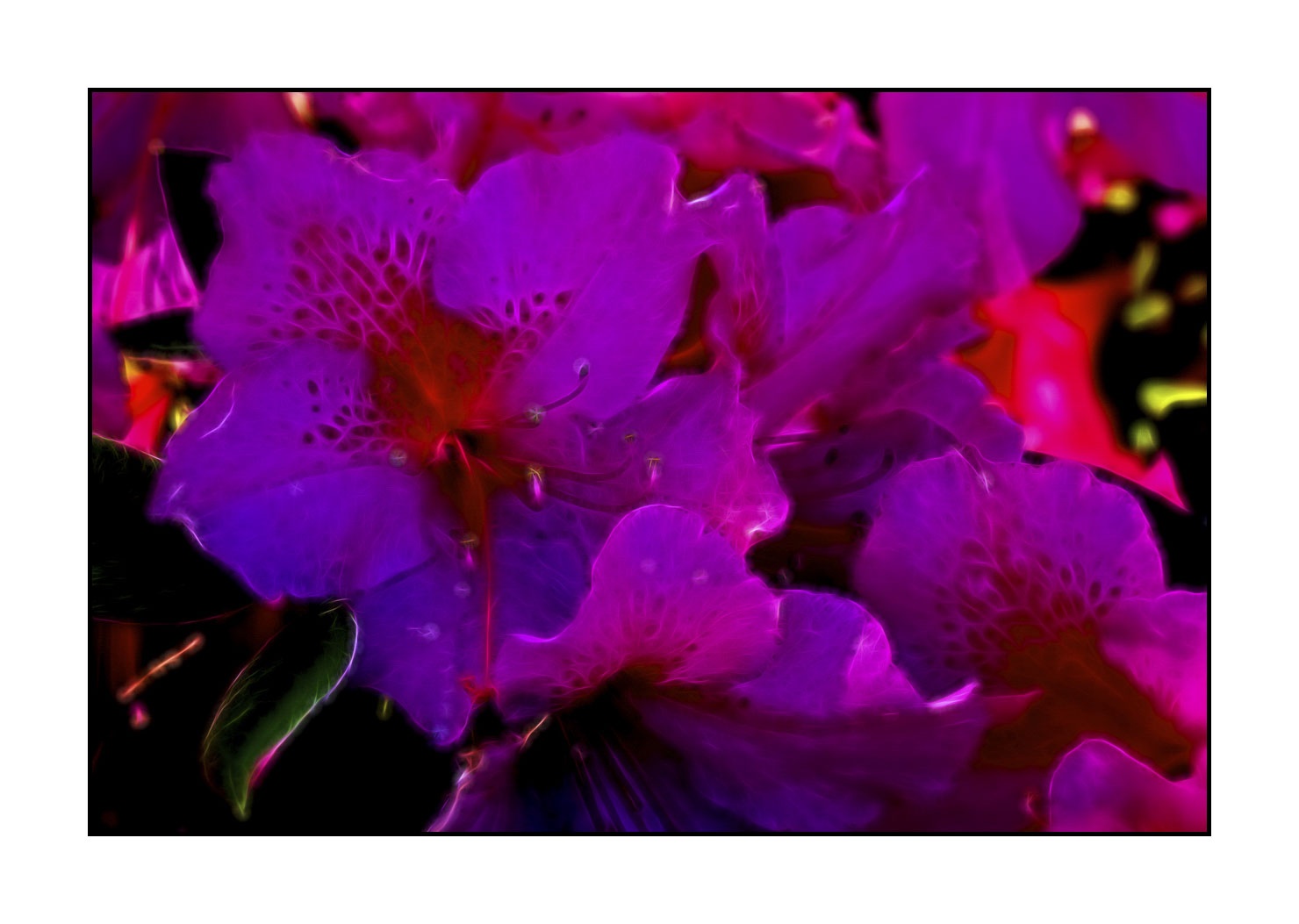 fusion/005-le-printemps/en/07-spring-fusion-1907-32F