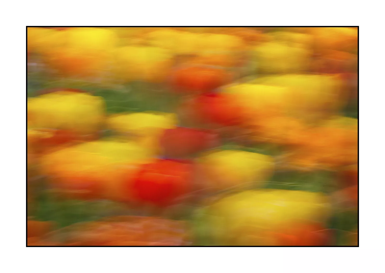 impression/005-impressions-du-printemps/fr/02-impression-du-printemps-1914-32I