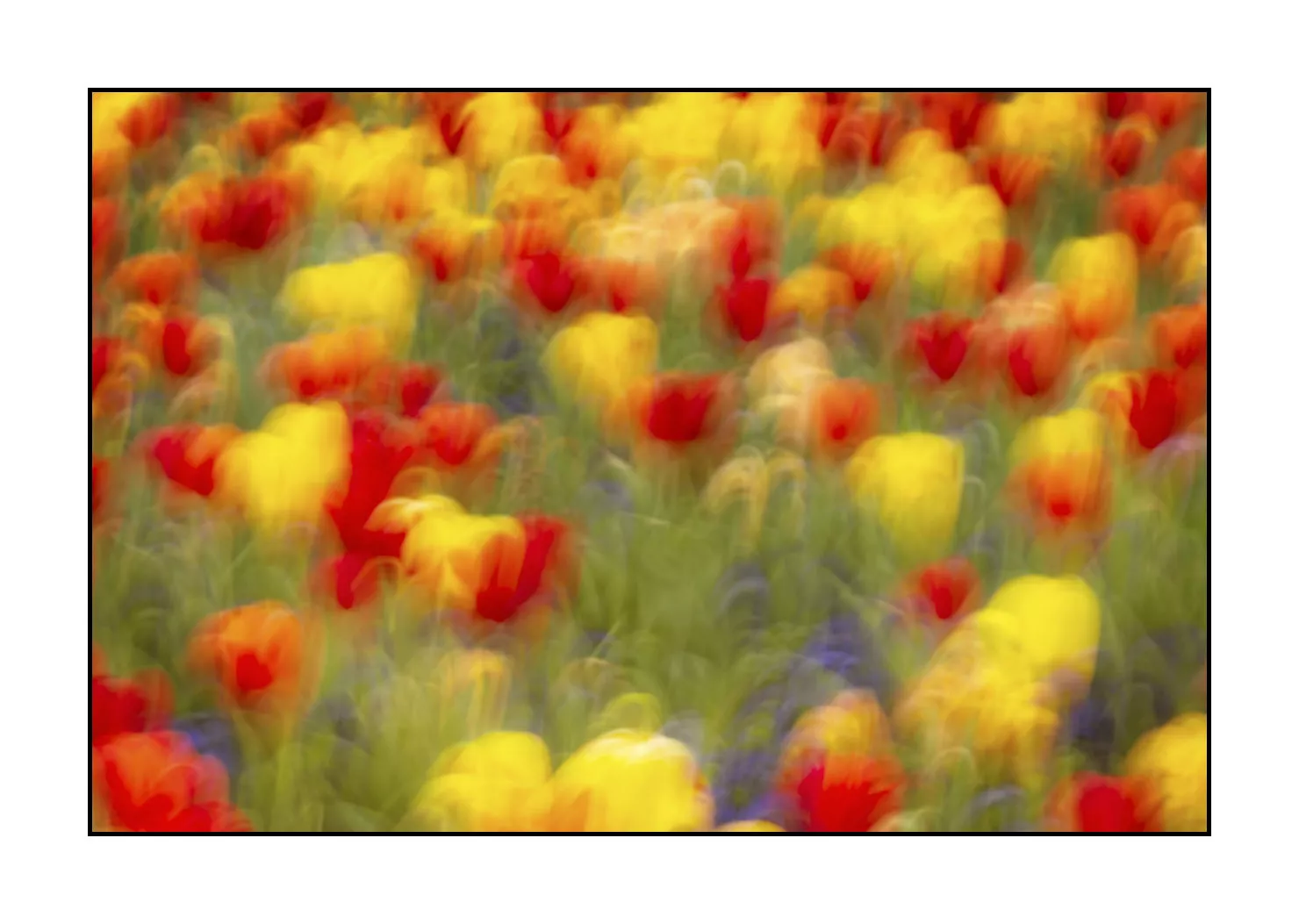 impression/005-impressions-du-printemps/fr/05-impression-du-printemps-1917-32I