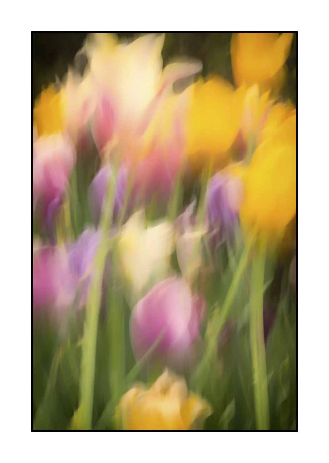 impression/005-impressions-du-printemps/fr/08-impression-du-printemps-1920-32I