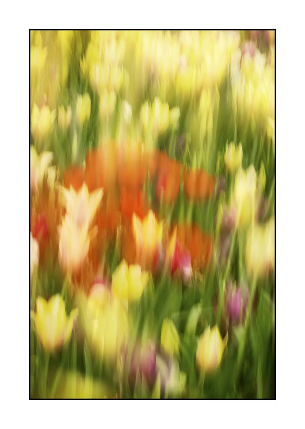 impression/005-impressions-du-printemps/fr/11-impression-du-printemps-1923-32I