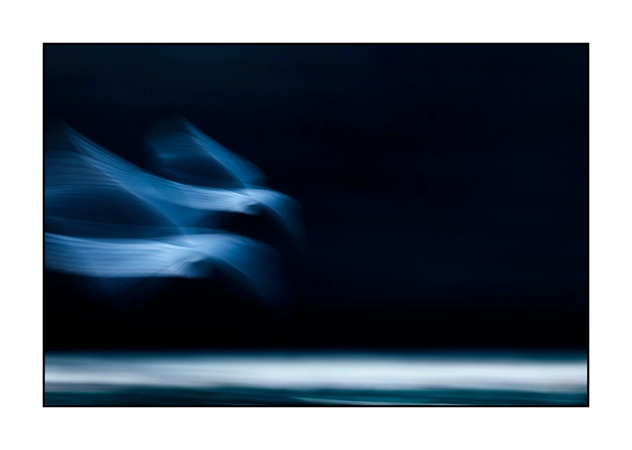 impression/008-impressions-d-oiseaux/edition-limitee/fr/06-oiseau-dombes-flou-ICM-2459-32I