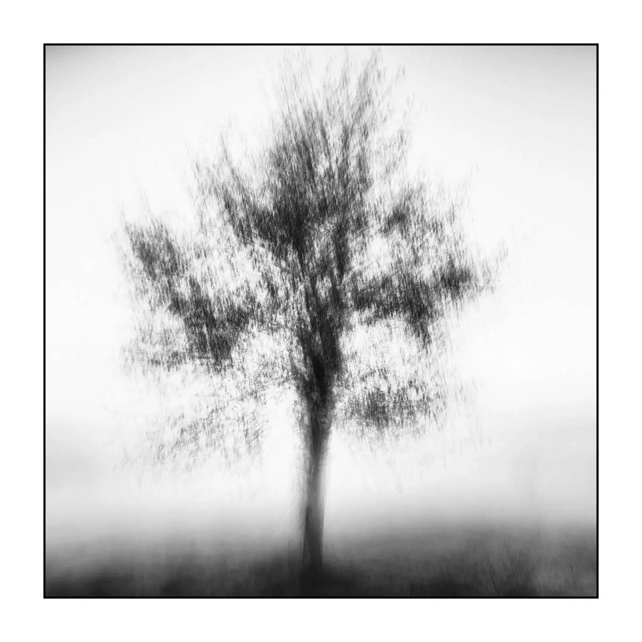 impression/011-murmures-du-temps/en/04-tree-black-and-white-blurry-2322-11I