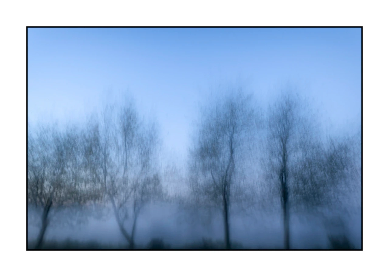 impression/012-les-arbres-deviennent-murmures/en/01-tree-color-blurry-2325-32I