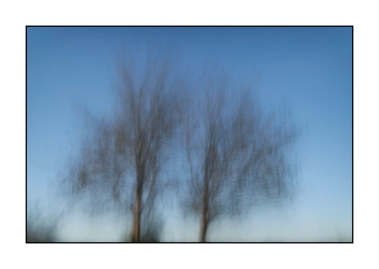 impression/012-les-arbres-deviennent-murmures/en/03-tree-color-blurry-2327-32I