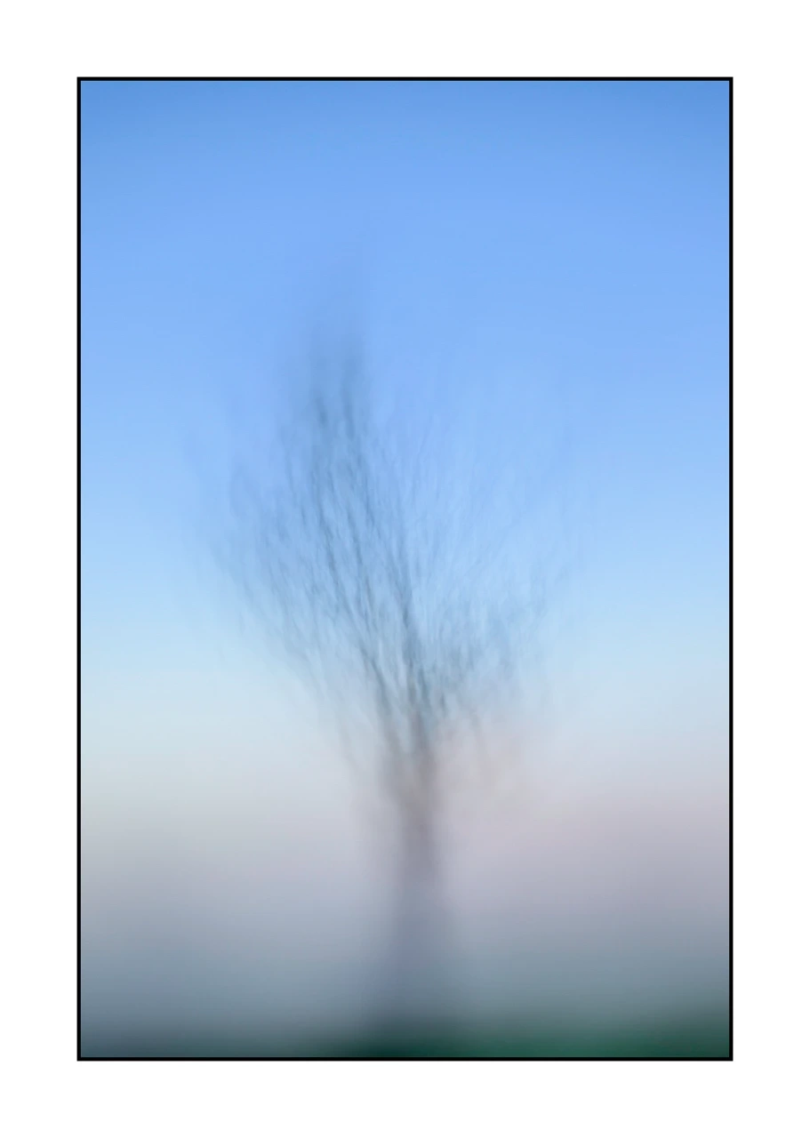 impression/012-les-arbres-deviennent-murmures/en/04-tree-color-blurry-2328-32I