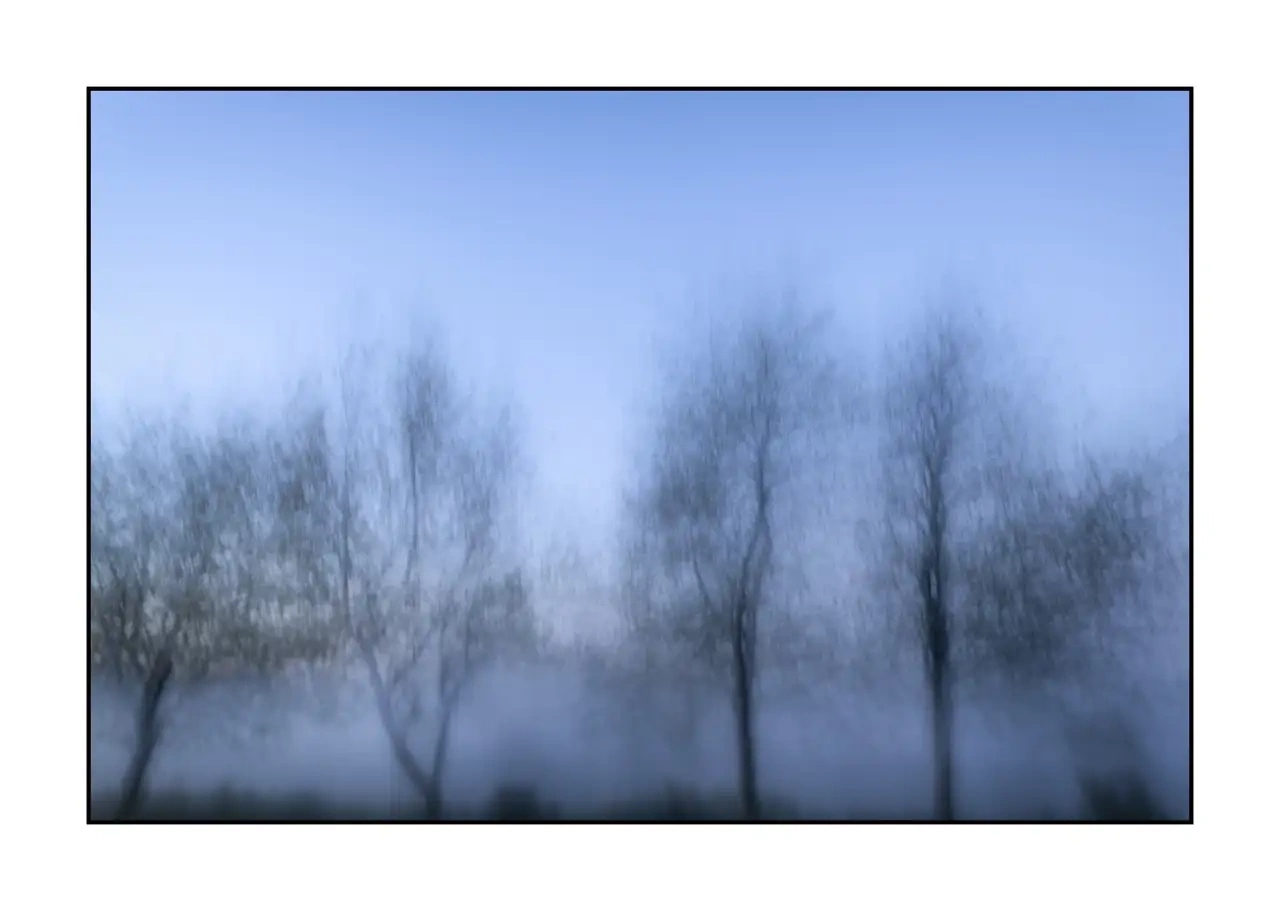 impression/012-les-arbres-deviennent-murmures/fr/01-arbre-en-couleur-flou-style-impression-2325-32I