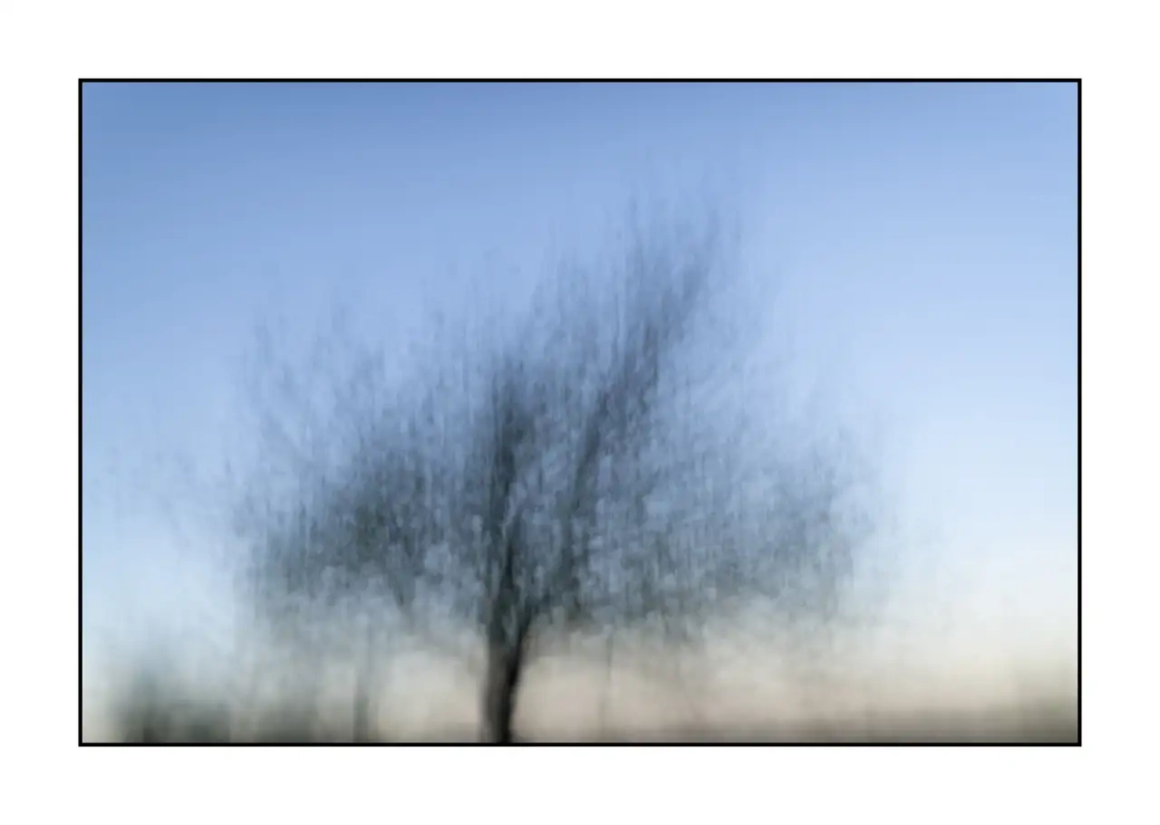 impression/012-les-arbres-deviennent-murmures/fr/02-arbre-en-couleur-flou-style-impression-2326-32I