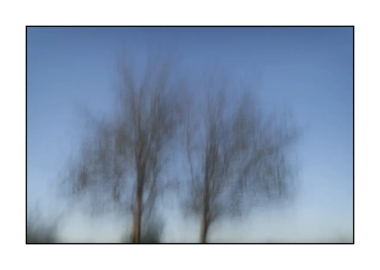 impression/012-les-arbres-deviennent-murmures/fr/03-arbre-en-couleur-flou-style-impression-2327-32I