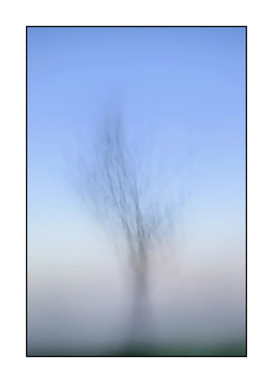 impression/012-les-arbres-deviennent-murmures/fr/04-arbre-en-couleur-flou-style-impression-2328-32I