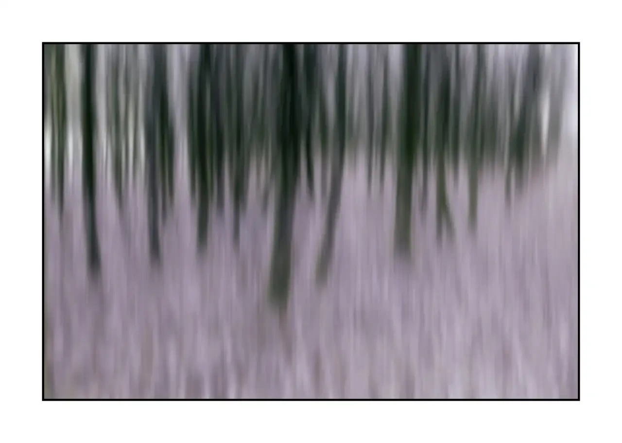 impression/013-les-ames-des-sous-bois/en/02-tree-color-blurry-2330-32I