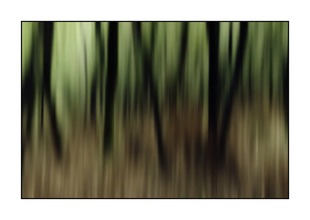 impression/013-les-ames-des-sous-bois/en/05-tree-color-blurry-2333-32I