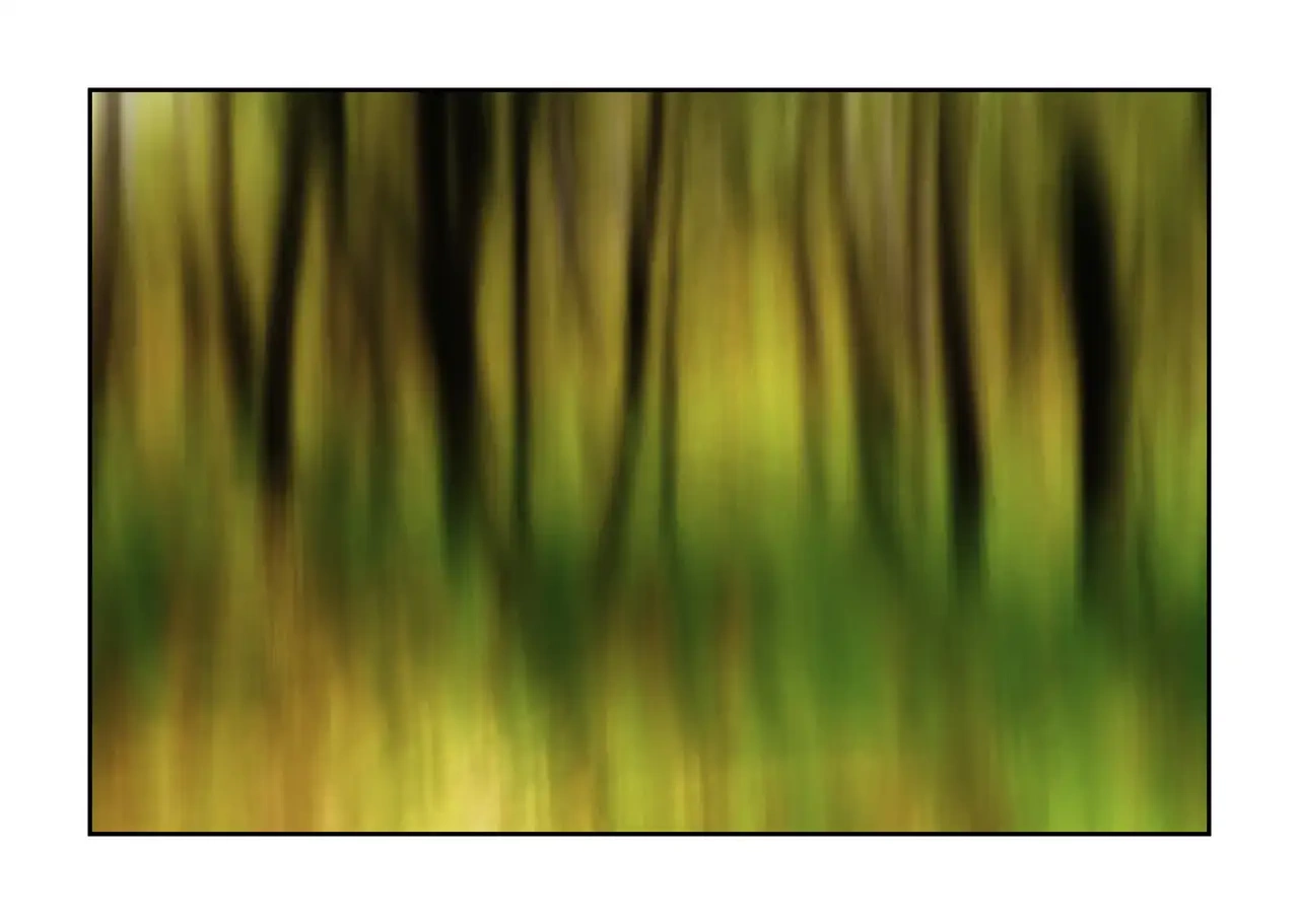impression/013-les-ames-des-sous-bois/en/11-tree-color-blurry-2339-32I