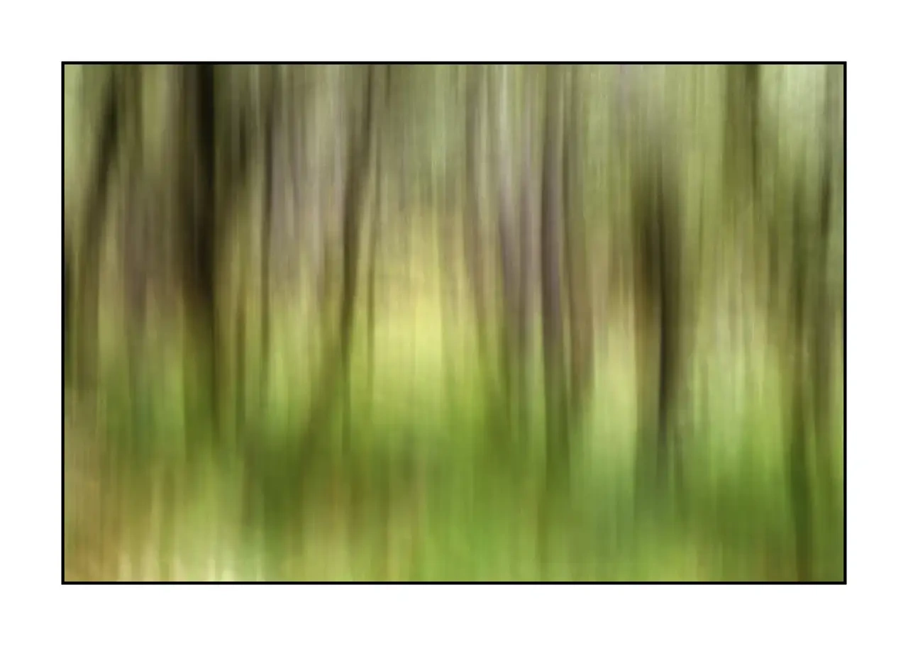 impression/013-les-ames-des-sous-bois/en/12-tree-color-blurry-2340-32I