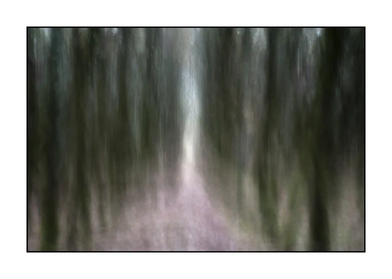 impression/013-les-ames-des-sous-bois/fr/01-arbre-en-couleur-flou-style-impression-2329-32I