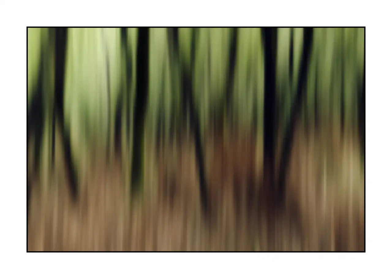 impression/013-les-ames-des-sous-bois/fr/05-arbre-en-couleur-flou-style-impression-2333-32I