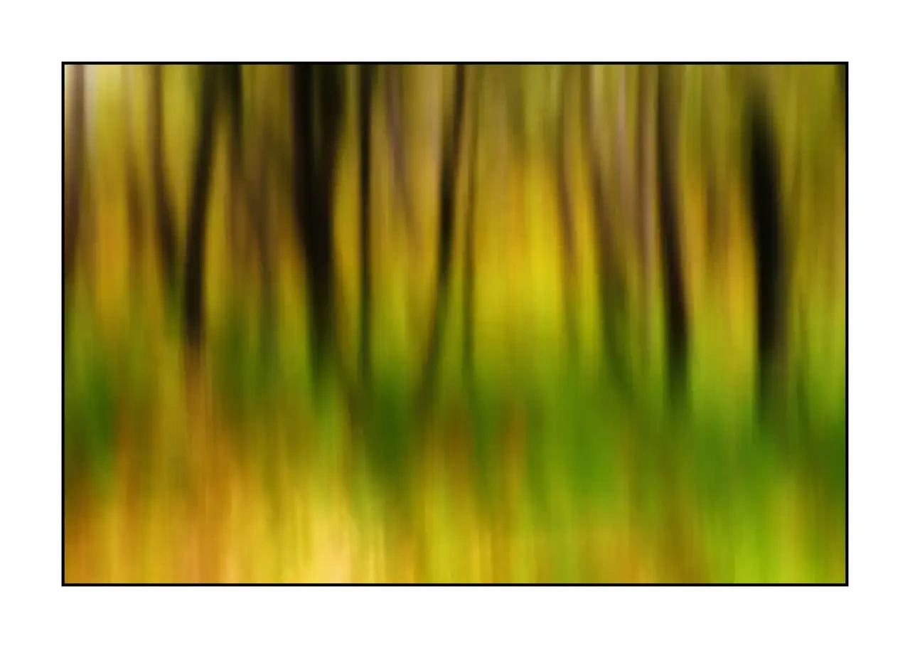 impression/013-les-ames-des-sous-bois/fr/11-arbre-en-couleur-flou-style-impression-2339-32I