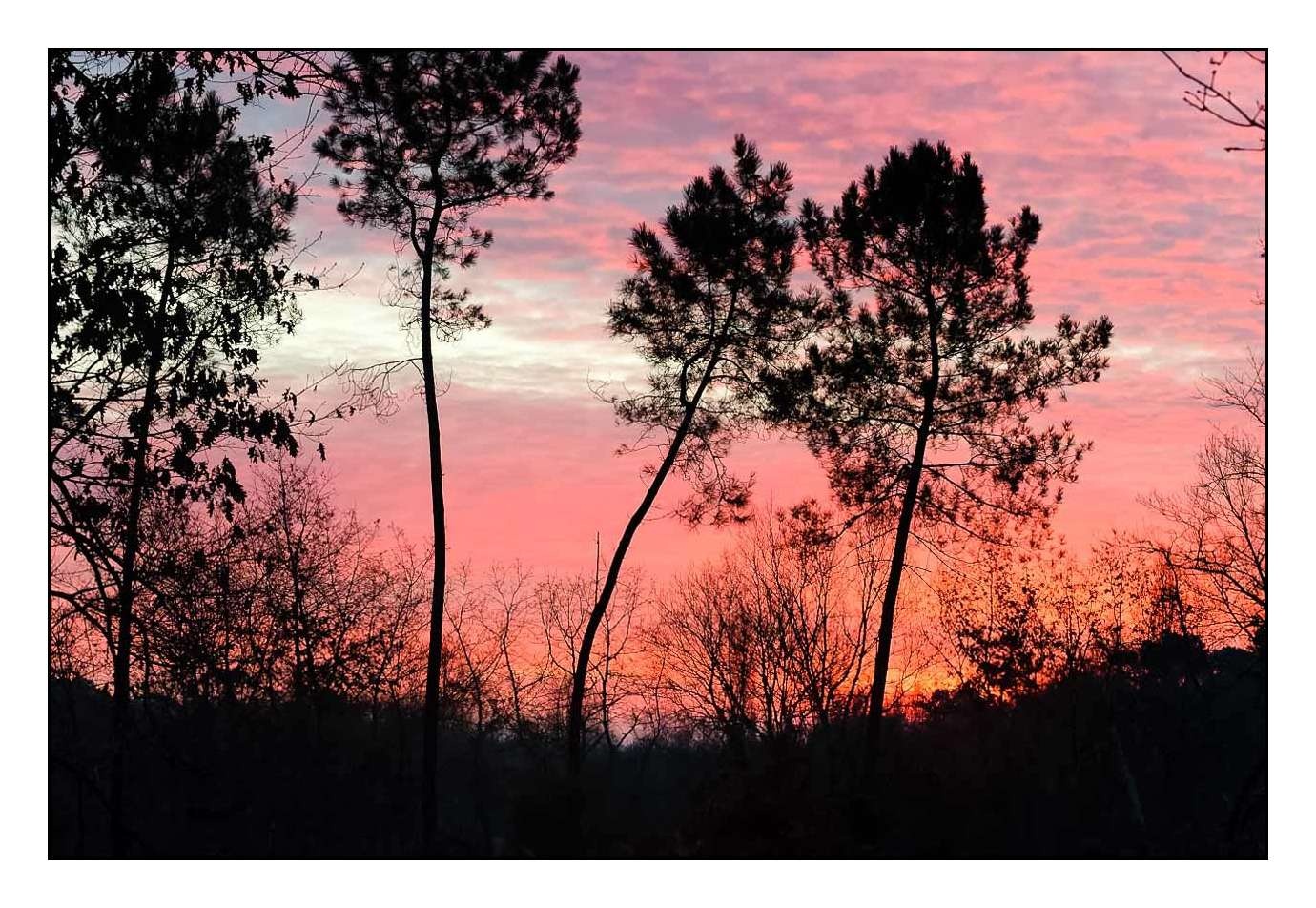 lumieres-et-couleurs/001-merveilles-naturelles-de-la-haute-saintonge/edition-limitee/en/08-120701FRAHST0333