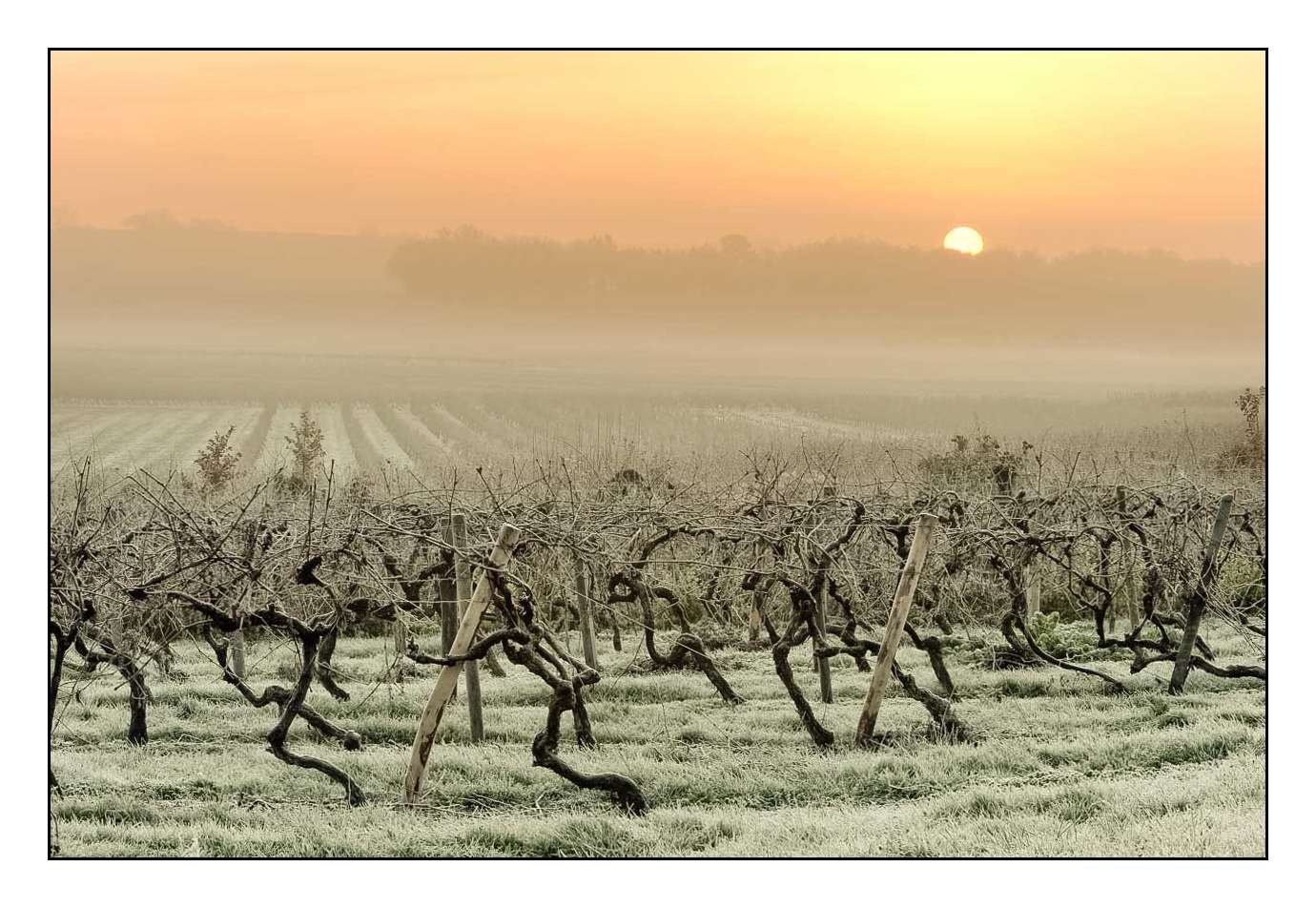 lumieres-et-couleurs/001-merveilles-naturelles-de-la-haute-saintonge/edition-limitee/en/10-120701FRAHST0232