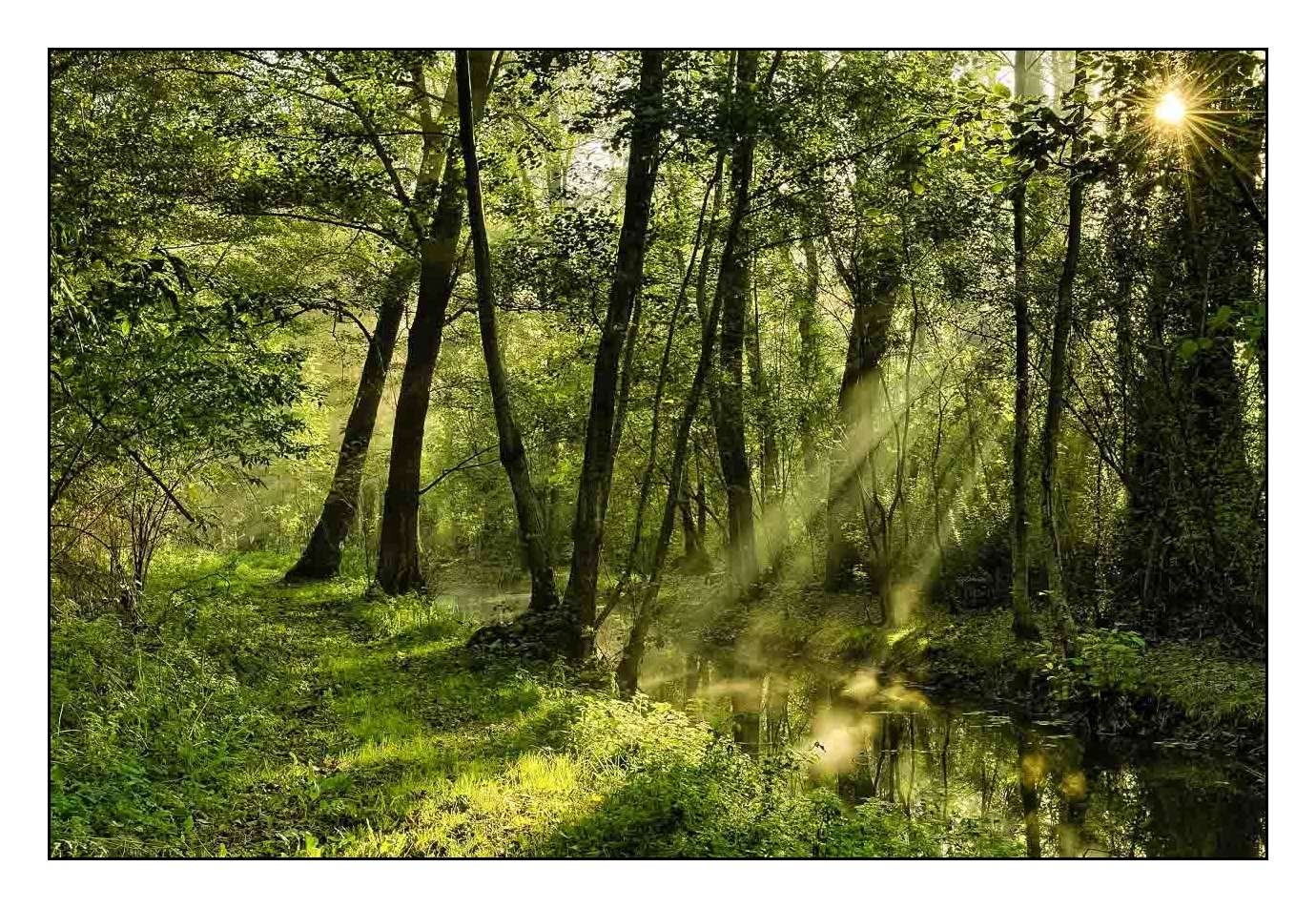 lumieres-et-couleurs/001-merveilles-naturelles-de-la-haute-saintonge/edition-limitee/en/11-120701FRAHST-LESAPHD02