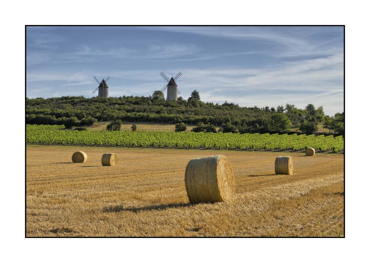 lumieres-et-couleurs/001-merveilles-naturelles-de-la-haute-saintonge/edition-ouverte/en/open-edition-81-32C
