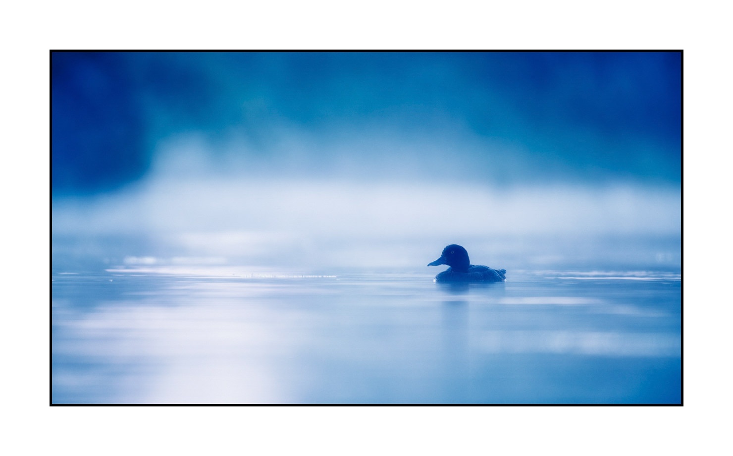 lumieres-et-couleurs/017-ambiances-etangs-de-la-dombes/edition-limitee/en/15-atmosphere-on-a-pond-of-la-dombes-190601DOMWLD0410C