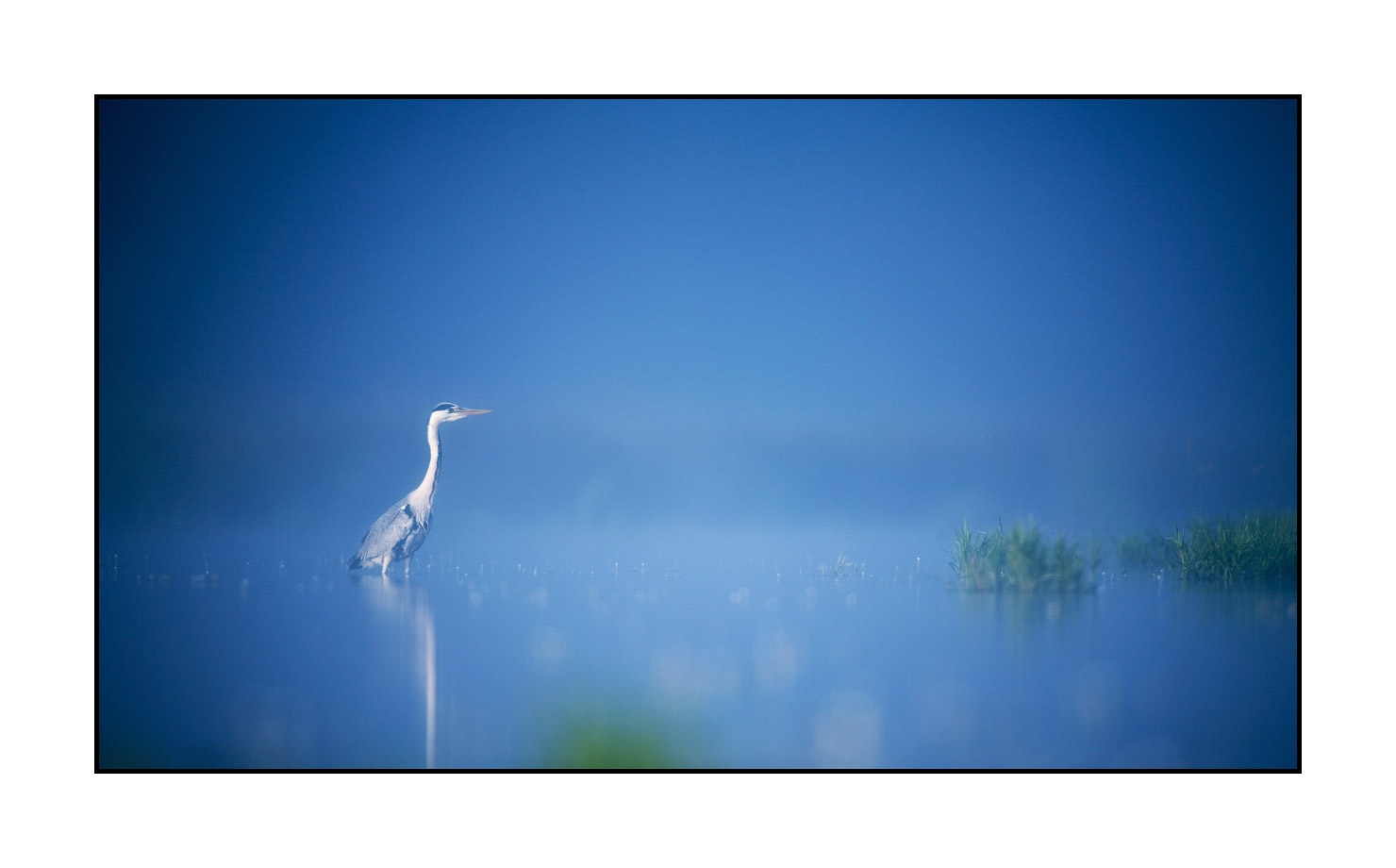 lumieres-et-couleurs/017-ambiances-etangs-de-la-dombes/edition-limitee/en/18-atmosphere-on-a-pond-of-la-dombes-190601DOMWLD0778C
