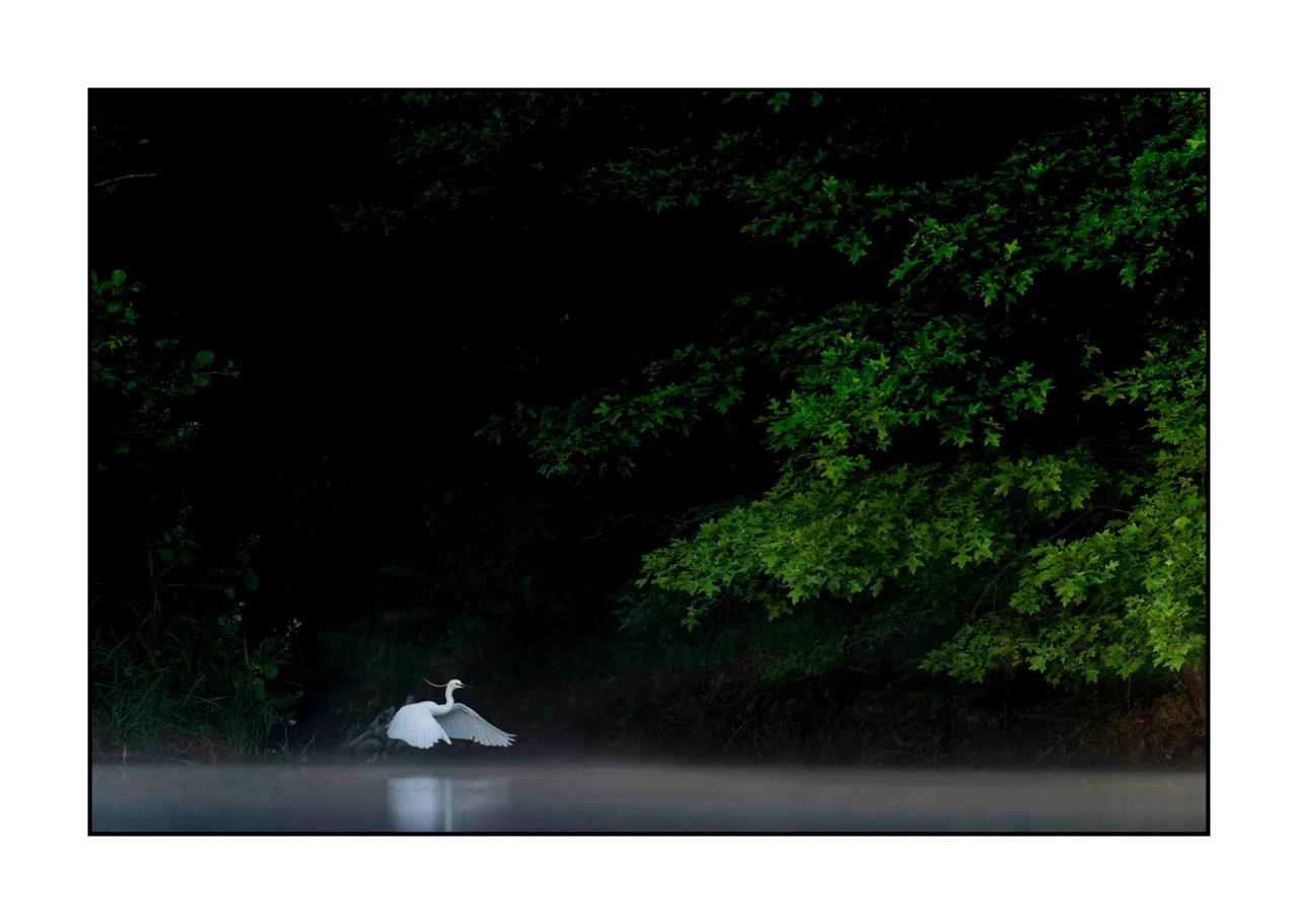 lumieres-et-couleurs/017-ambiances-etangs-de-la-dombes/edition-ouverte/en/30-atmosphere-on-a-pond-of-la-dombes-2417-32C