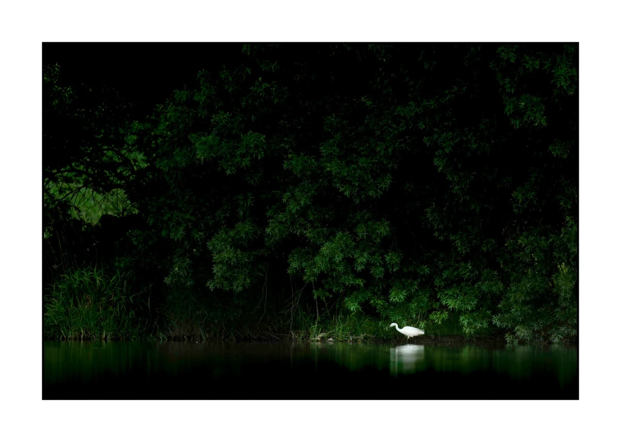lumieres-et-couleurs/017-ambiances-etangs-de-la-dombes/edition-ouverte/en/32-atmosphere-on-a-pond-of-la-dombes-2419-32C