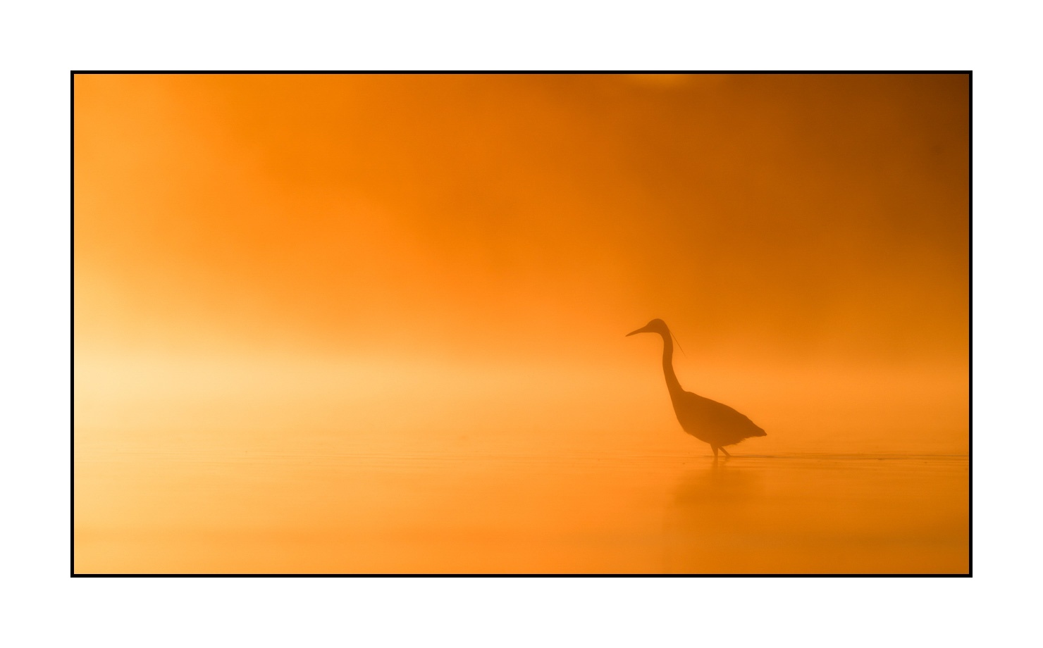 lumieres-et-couleurs/017-ambiances-etangs-de-la-dombes/en/05-atmosphere-on-a-pond-of-la-dombes-190601DOMWLD0059C