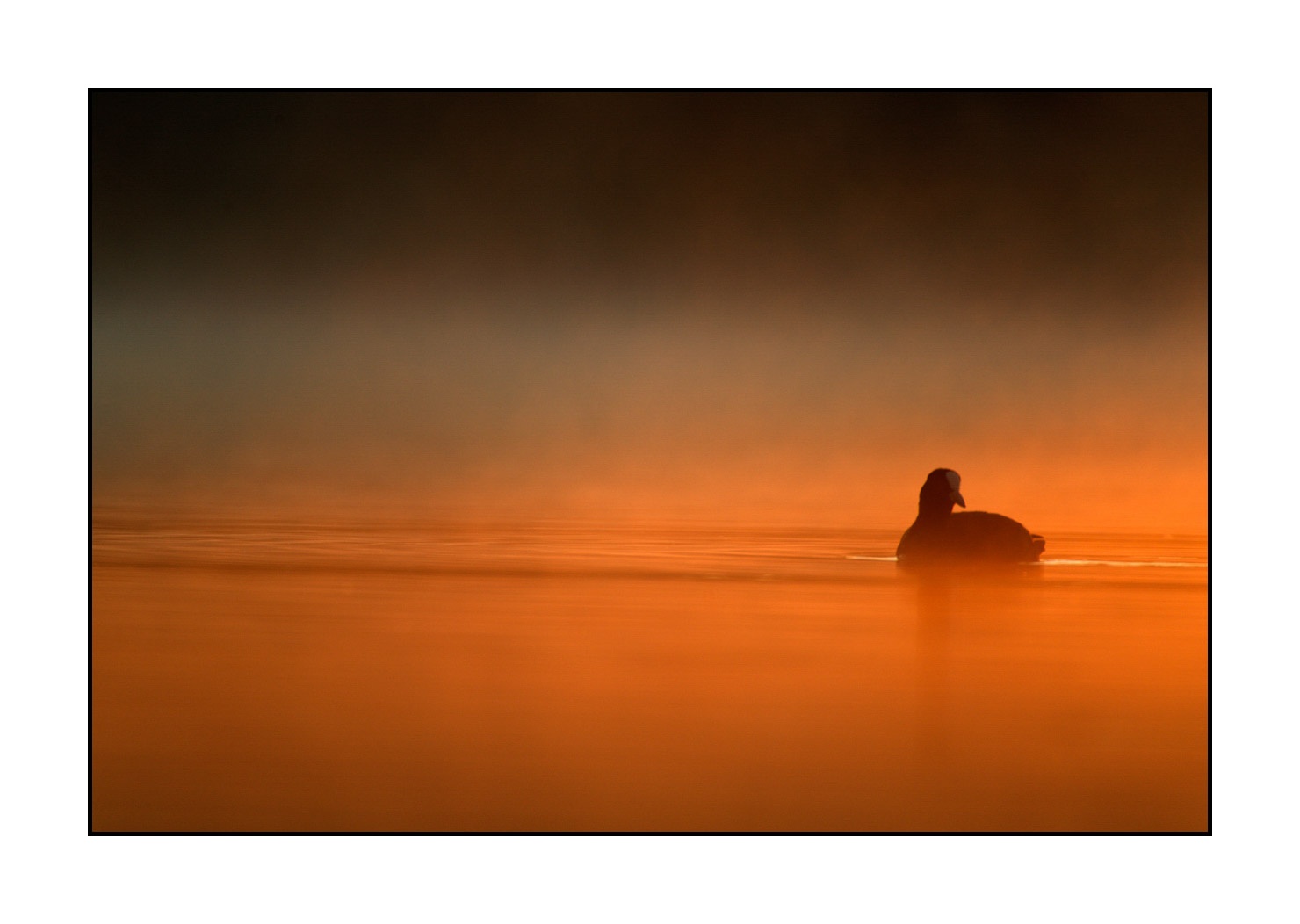 lumieres-et-couleurs/017-ambiances-etangs-de-la-dombes/en/13-atmosphere-on-a-pond-of-la-dombes-120527FRADOM0027