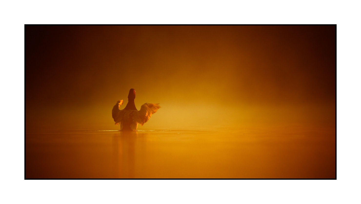 lumieres-et-couleurs/017-ambiances-etangs-de-la-dombes/fr/22-ambiance-sur-un-etang-de-la-dombes-220517DOMWLD0111C