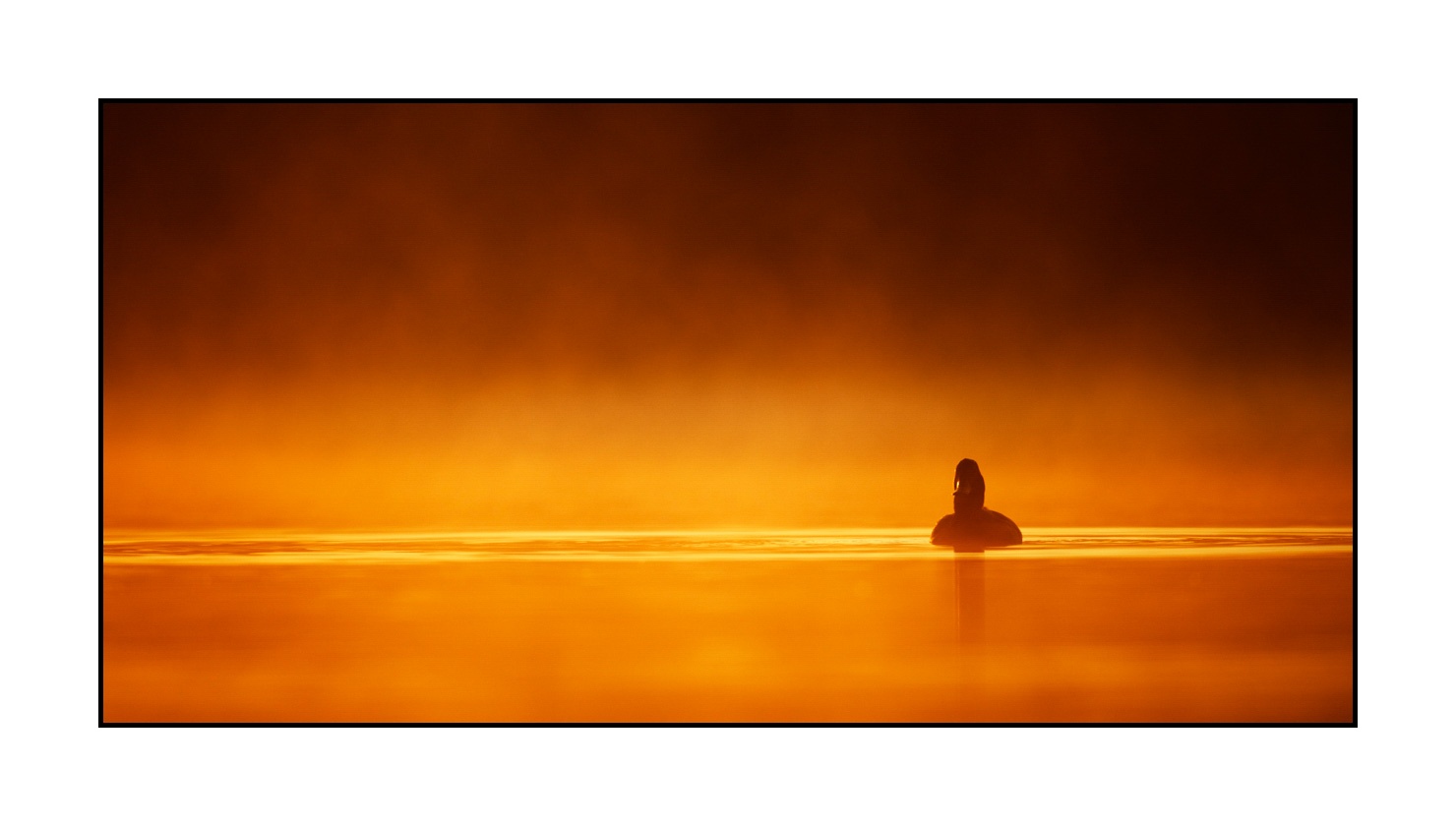 lumieres-et-couleurs/017-ambiances-etangs-de-la-dombes/fr/23-ambiance-sur-un-etang-de-la-dombes-220517DOMWLD0138C